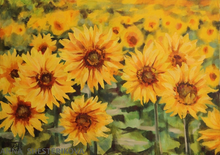 Goldene Sonnenblumen