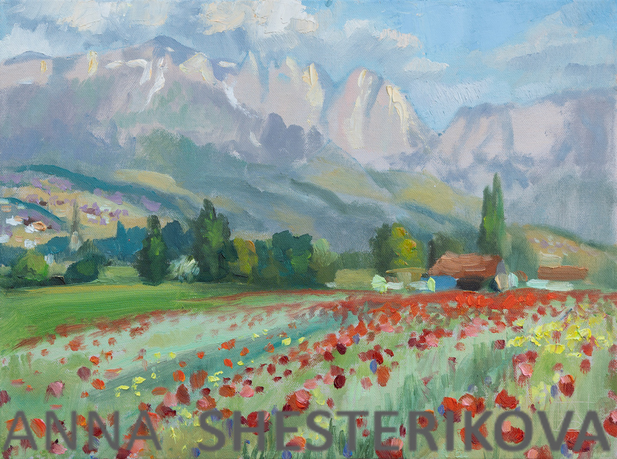 Poppies Of The Rhine Valley