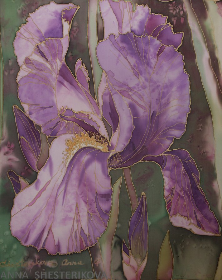 Irisblume