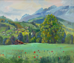Sommer in Grabs