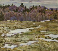 Последний снег