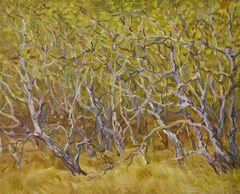 Осенние кружева